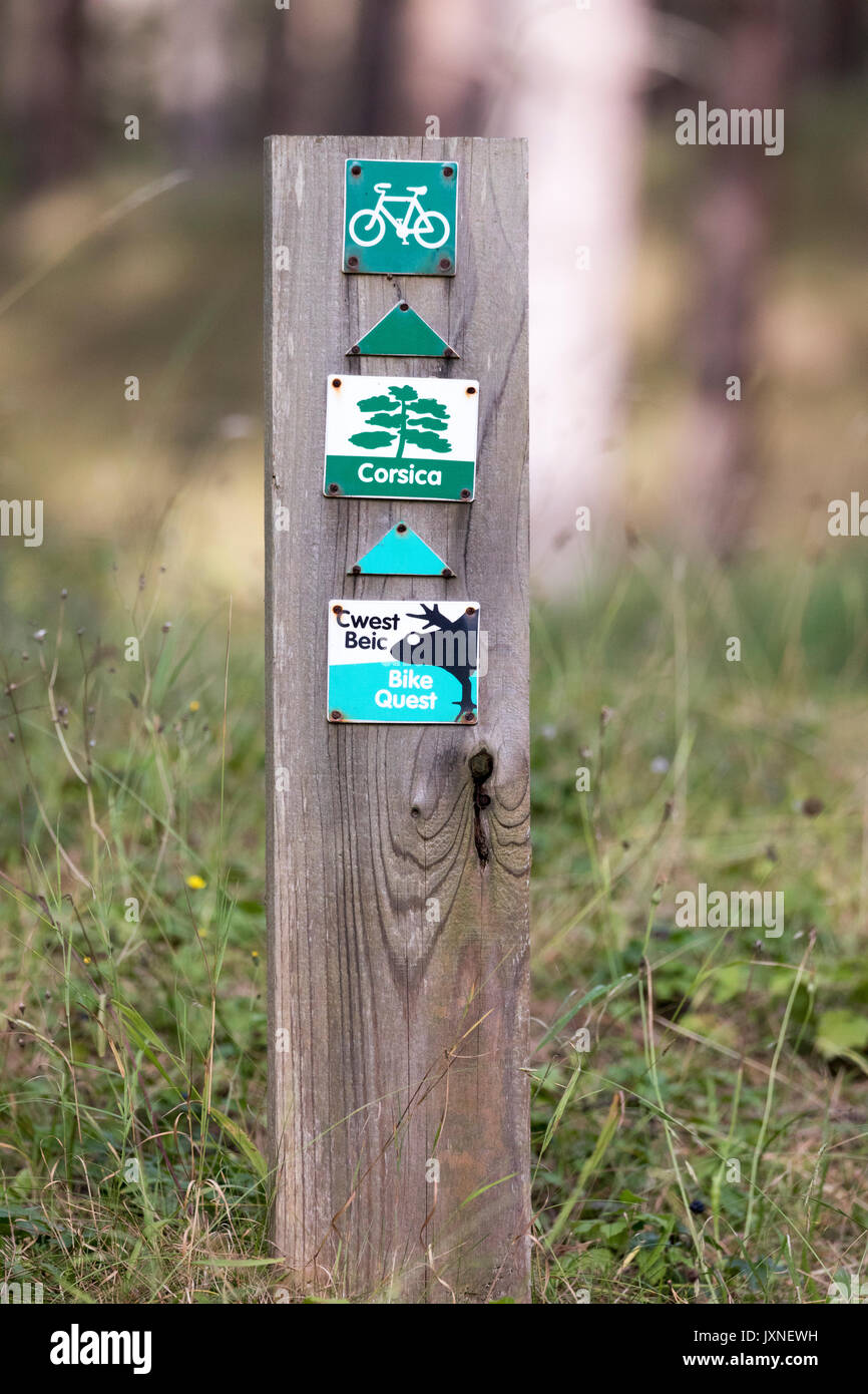Modo di legno segno del marcatore che mostrano la direzione del percorso di ciclisti per la Corsica la foresta e la moto ricerca a Newborough foresta, Anglesey, Galles, Regno Unito Foto Stock