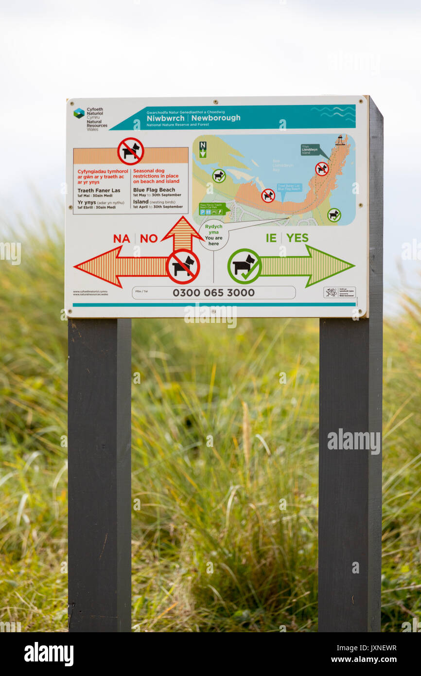Segno di spiaggia che mostra dove i cani possono andare con una mappa e le frecce per mostrare dog walkers il cane friendly parti della spiaggia di Newborough Beach, Anglesey Foto Stock