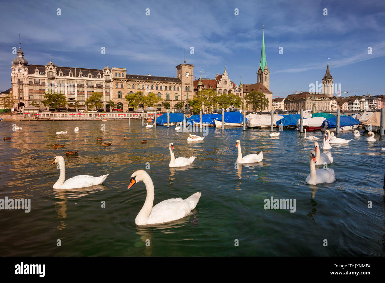 Zurigo. cityscape immagine di Zurigo, Svizzera durante la soleggiata mattina d'estate. Foto Stock