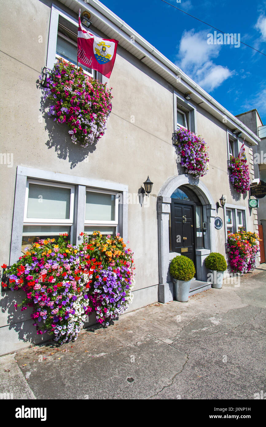 Un Irish Bed and Breakfast a Skerries, Co Dublin, Irlanda con sorprendente floreali caselle della finestra Foto Stock