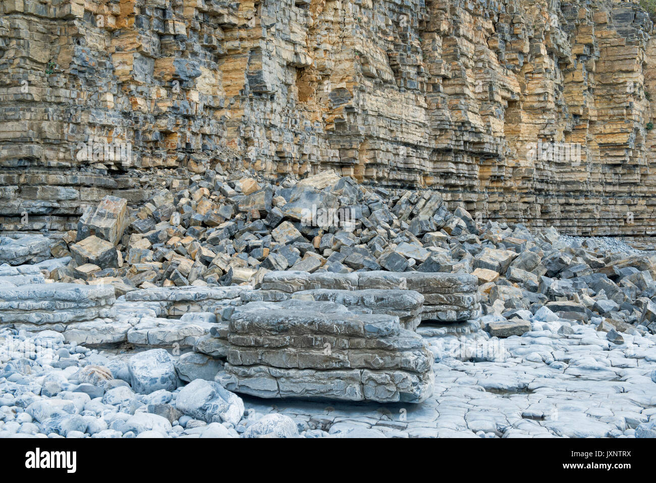 Le cadute di massi al Oolitic scogliere calcaree sulla Glamorgan Heritage costa sud del Galles Foto Stock