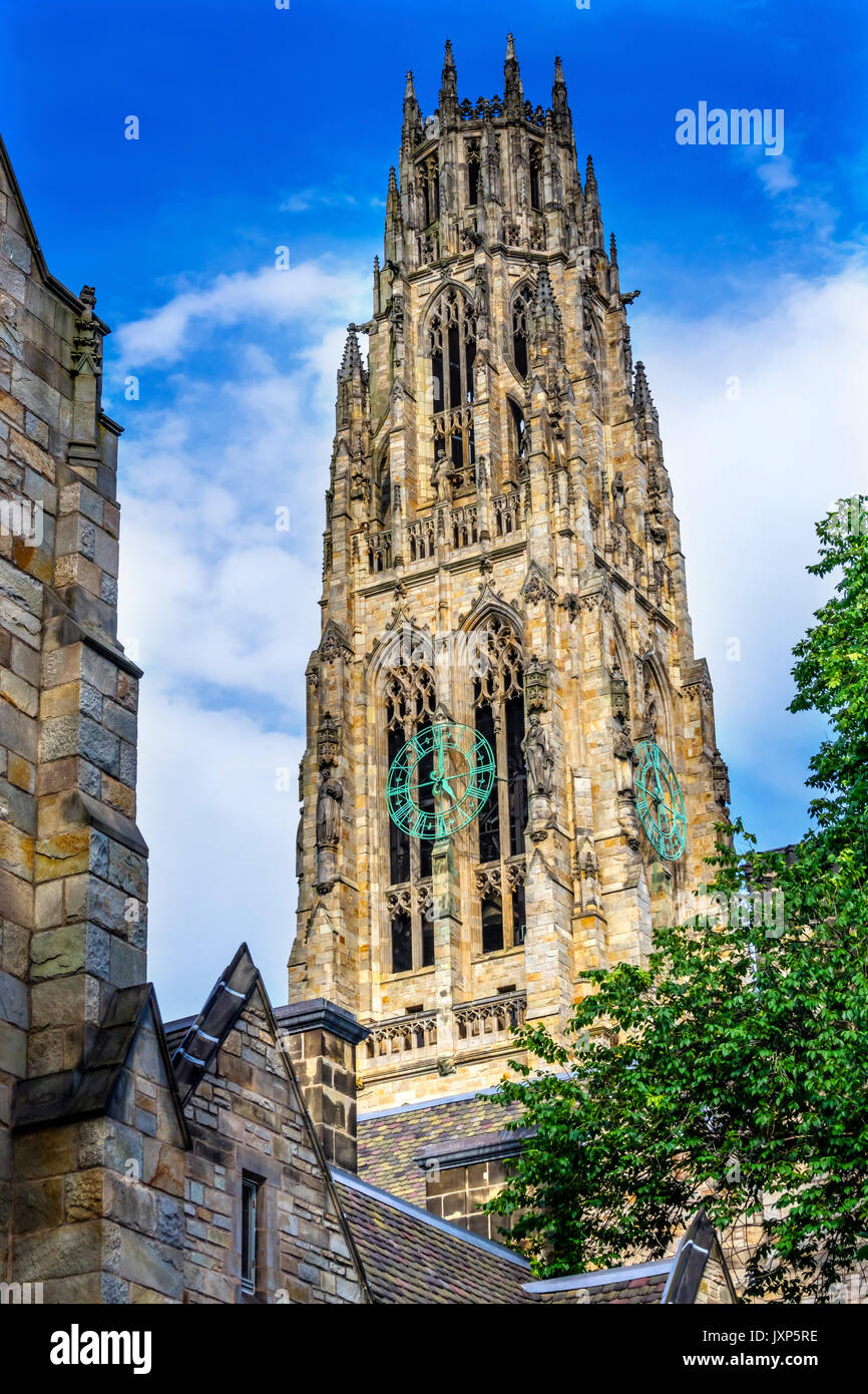 Harkness Tower Campus vecchio Yale University New Haven, Connecticut. Completato nel 1922 come parte del quadrangolo Memorial. Foto Stock