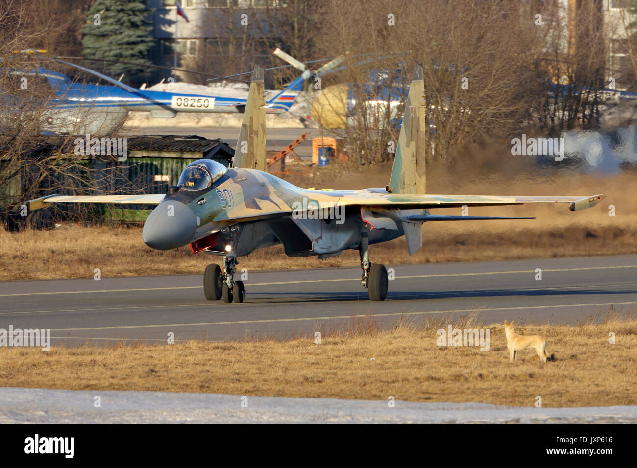 Zhukovsky, Moscow Region, Russia - 13 Marzo 2014: Sukhoi Su-35BM 901 nero di eseguire la prova di volo in Zhukovsky. Foto Stock