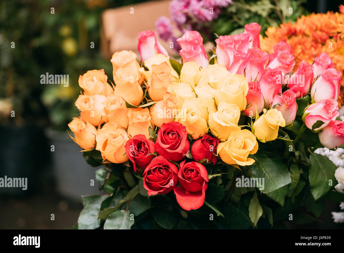 Bouquet di bellissime rose colorata con gocce di acqua nel mercato. Foto Stock