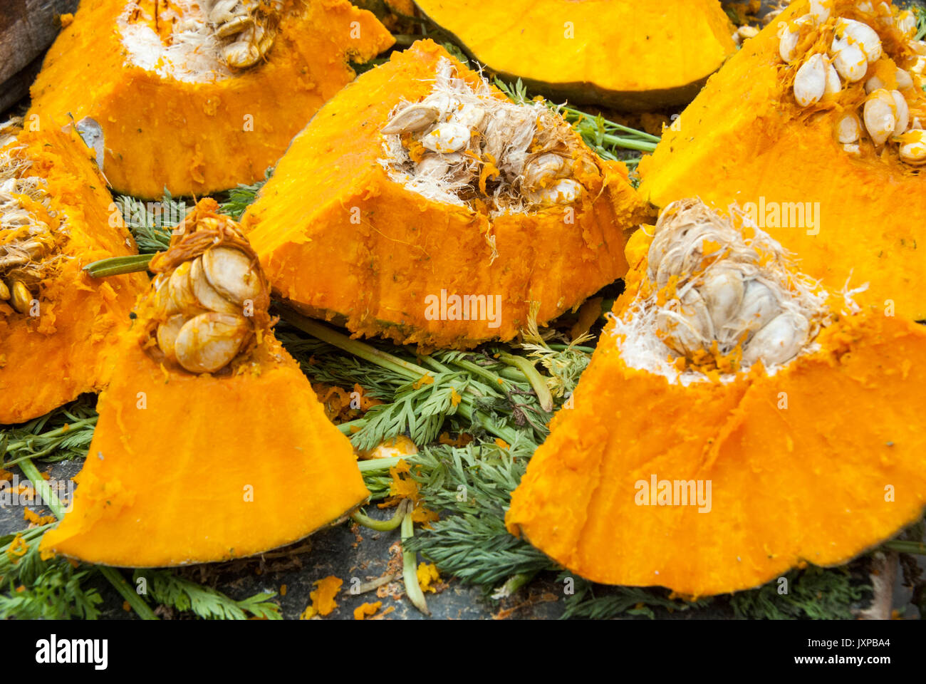 La zucca - i pezzi di zucca - vegetariano e vegano cibo Foto Stock