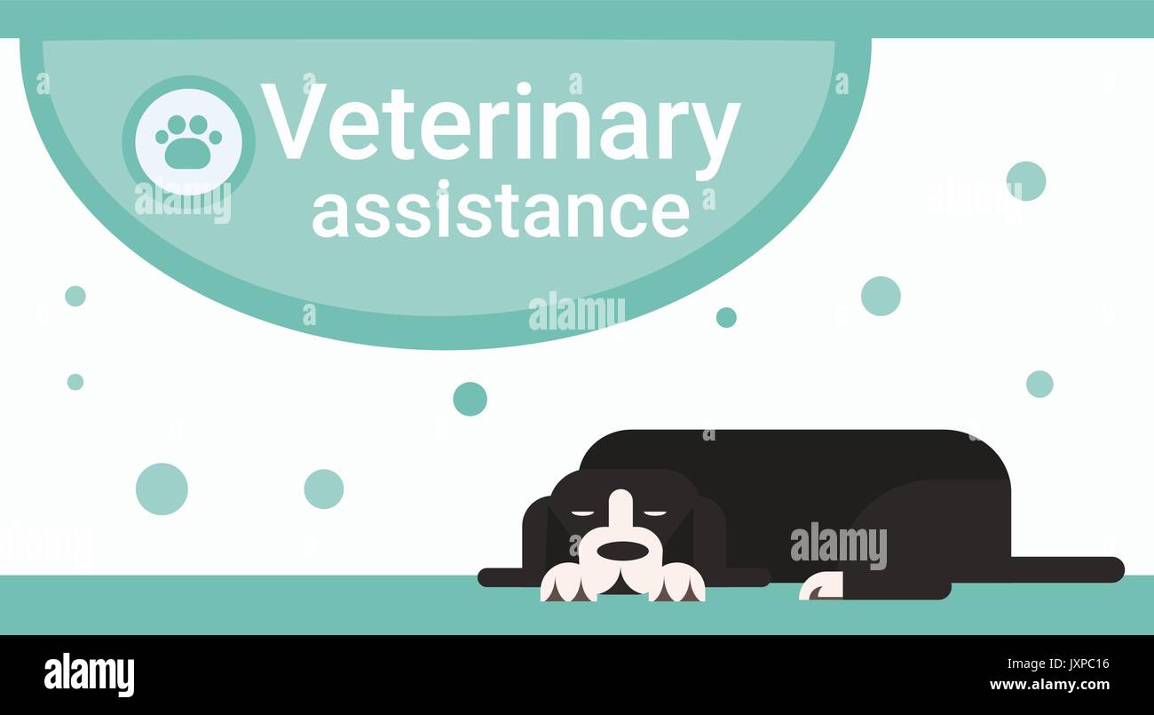 Assistenza veterinaria clinica per animali Animali Domestici Vet Banner di servizio Illustrazione Vettoriale