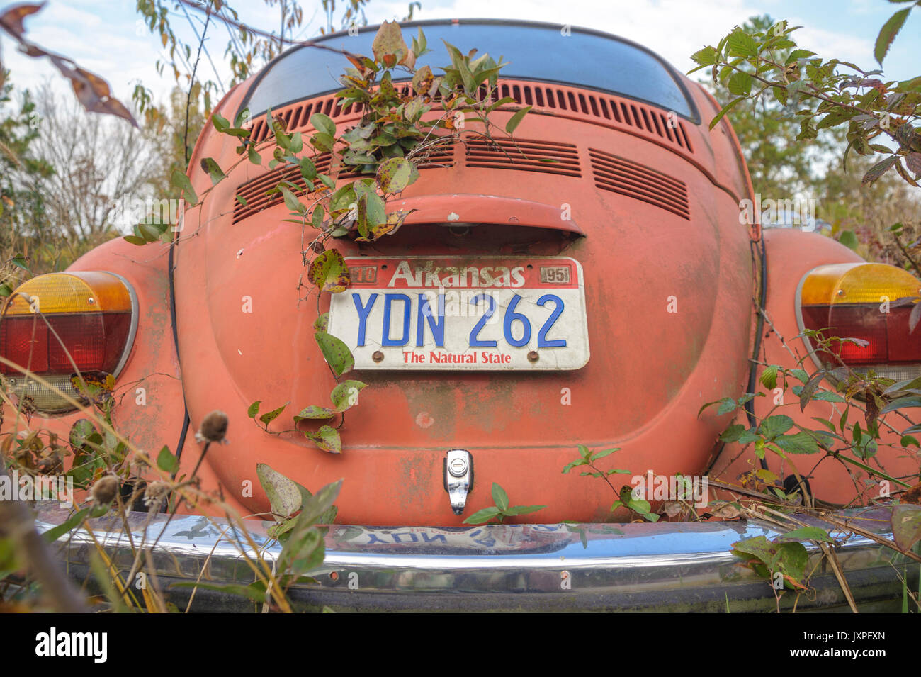 Abbandonato vecchi VW Beetle auto Foto Stock