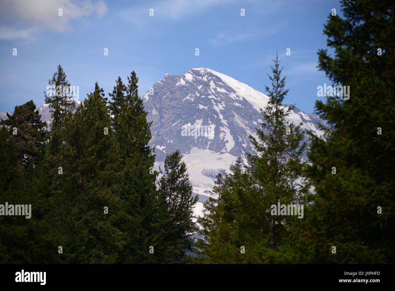 Mt. Rainier Foto Stock