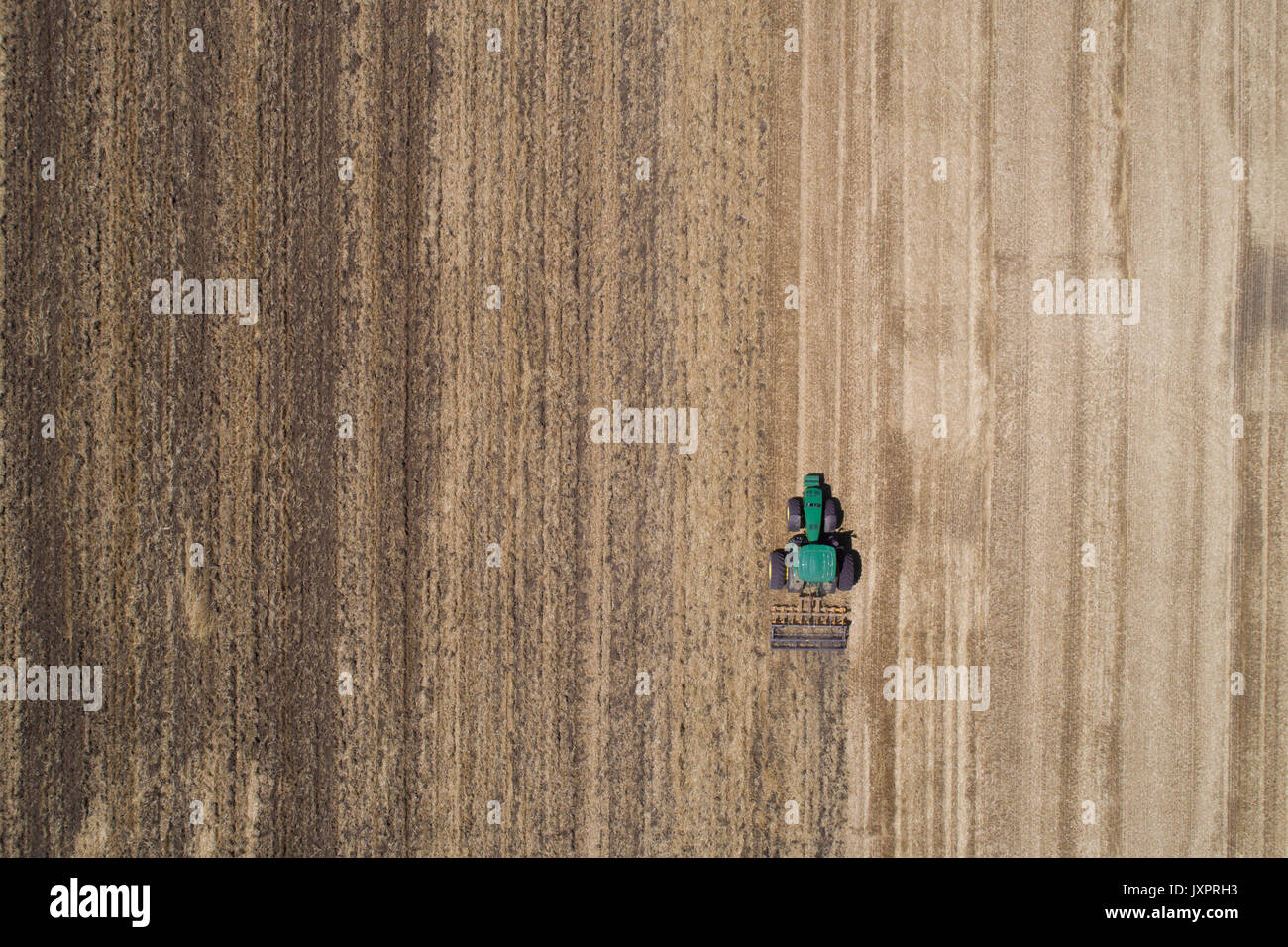 Il trattore lavora in golden campo di grano dopo il raccolto. Immagine aerea di agricola lavori stagionali Foto Stock
