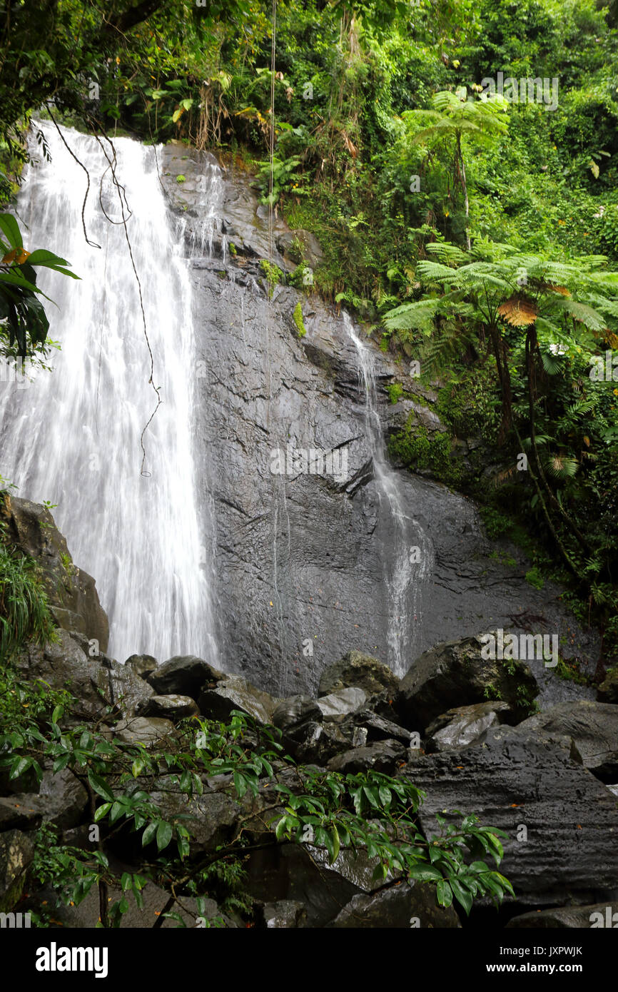 La splendida cascata a La Coca in Puerto Rico rain forest Foto Stock