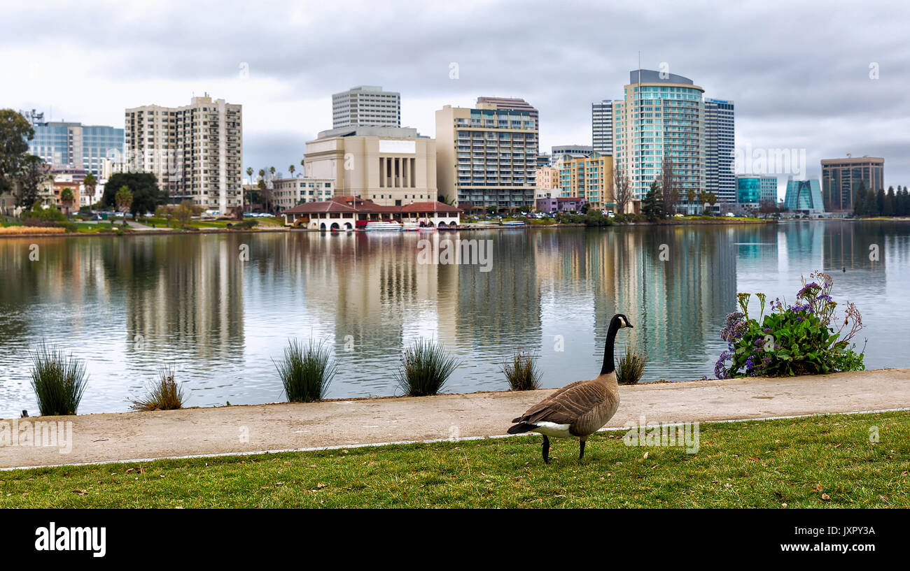Oakland, la California il Centro Lago Merritt skyline. Piante in primo piano. Bella riflessioni. Vista sul lago. Foto Stock
