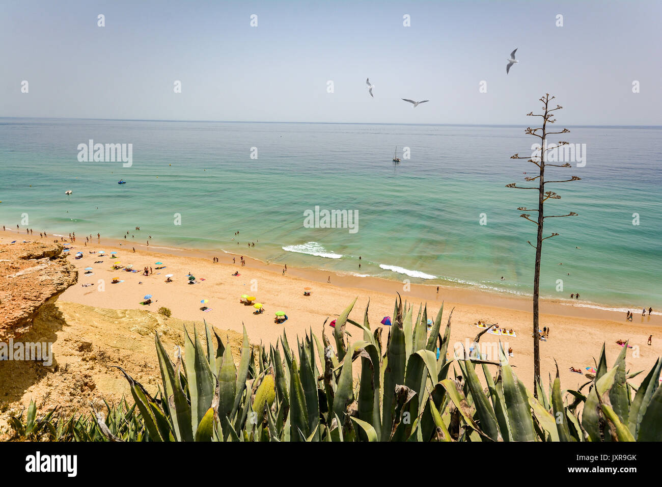 Vista dalla scogliera alla trafficata spiaggia Praia do Porto de Mos vicino a Ponta da Piedade, Lagos Algarve Portogallo Foto Stock