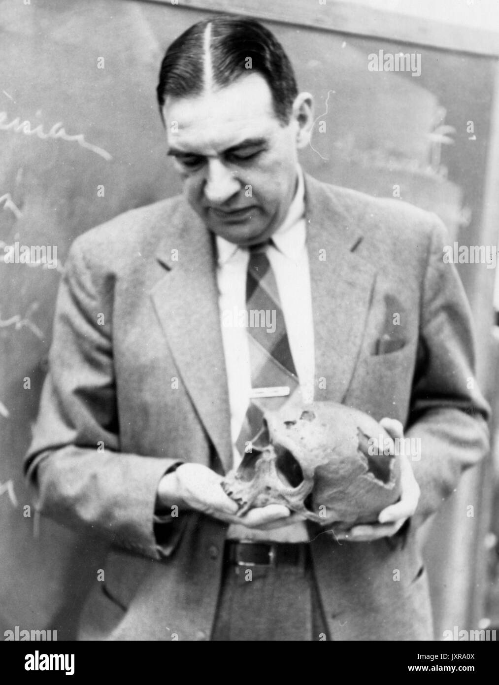 Antropologia, Scienza, teschi Candid shot, un professore non identificato è in possesso di un cranio, 1950. Foto Stock