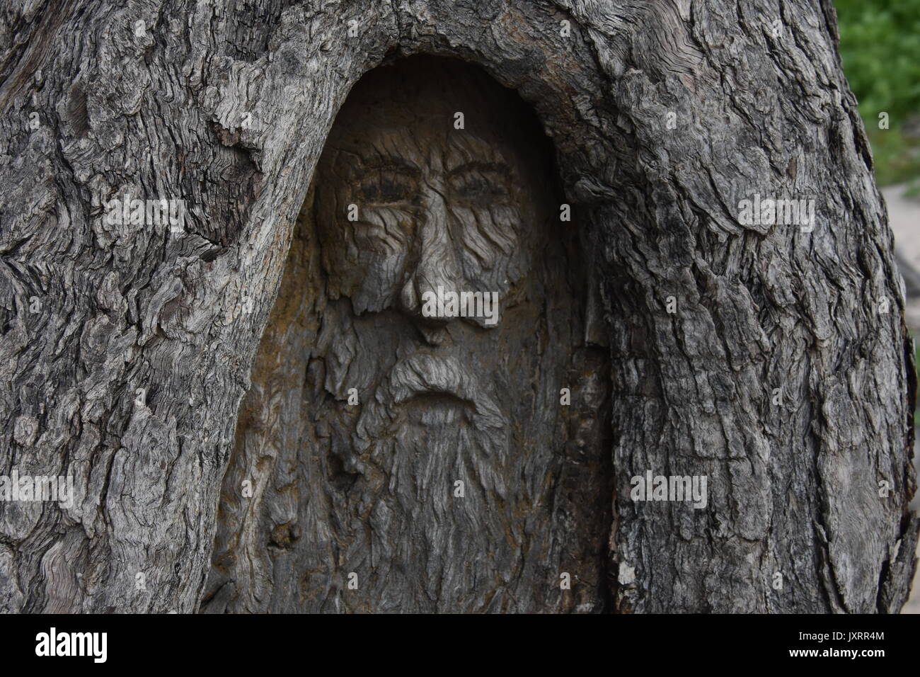 Faccia albero carving di spirito della foresta Foto Stock