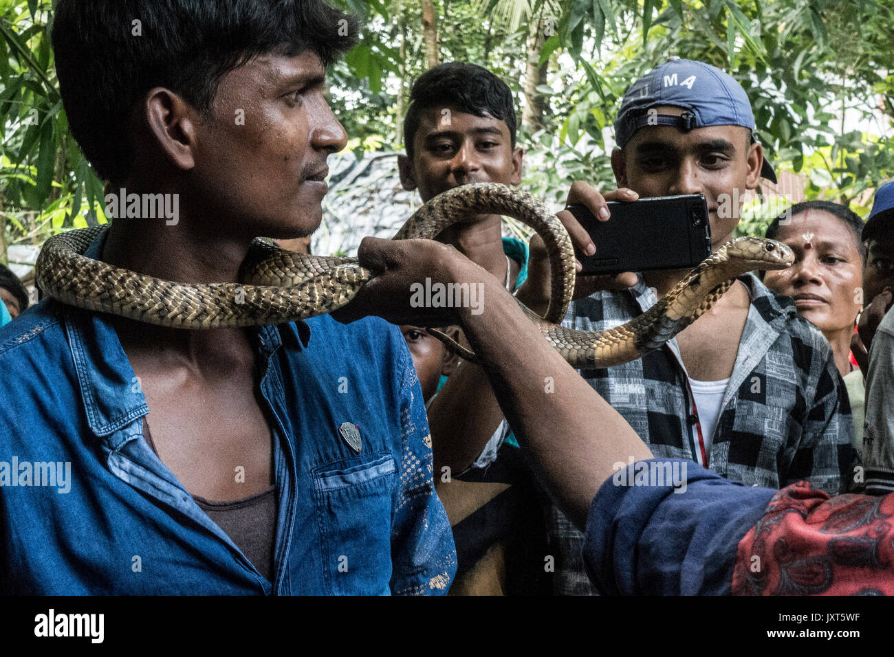 (170817) -- KHEDAITALA, Agosto 17, 2017 (Xinhua) -- Indian scattare foto per i serpenti durante il festival del serpente indù dea 'Manasha' a Khedaitala, circa 75 km a nord di Calcutta, capitale dello stato dell India orientale West Bengal, e il agosto 17, 2017. Molti incantatori di serpenti e gli abitanti del villaggio hanno partecipato a questa festa tradizionale per il culto della dea giovedì. (Xinhua/Tumpa Mondal) (gl) Foto Stock