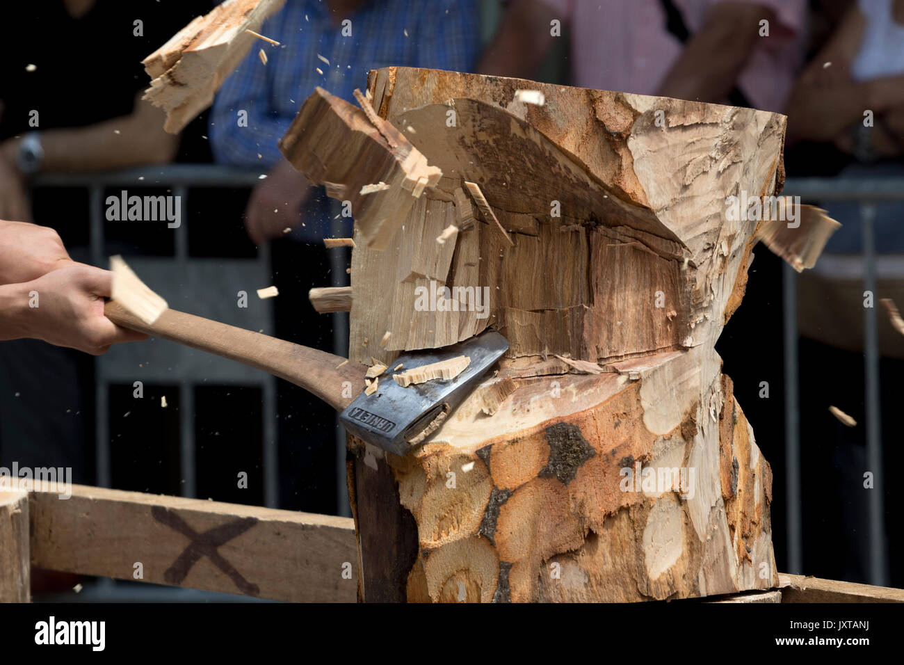 Primo piano immagine di un aizkolari ax colpendo un tronco di legno. Foto Stock