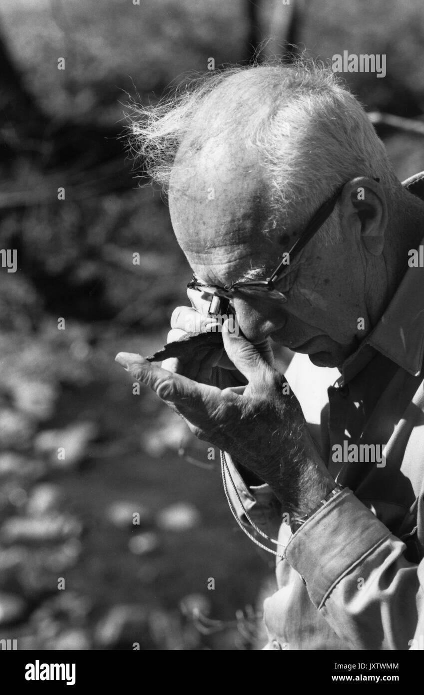Francesco Giovanni pettijohn, candid shot, close-up di dr pettijohn nel campo utilizzando una lente di ingrandimento per esaminare un campione di roccia, 1985. Foto Stock