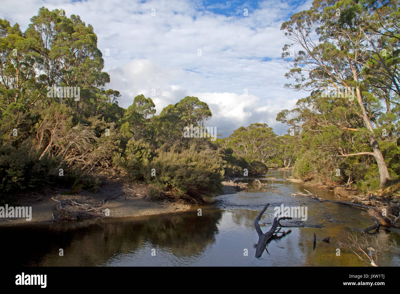 Il fiume Derwent vicino le sue sorgenti presso il lago St Clair Foto Stock