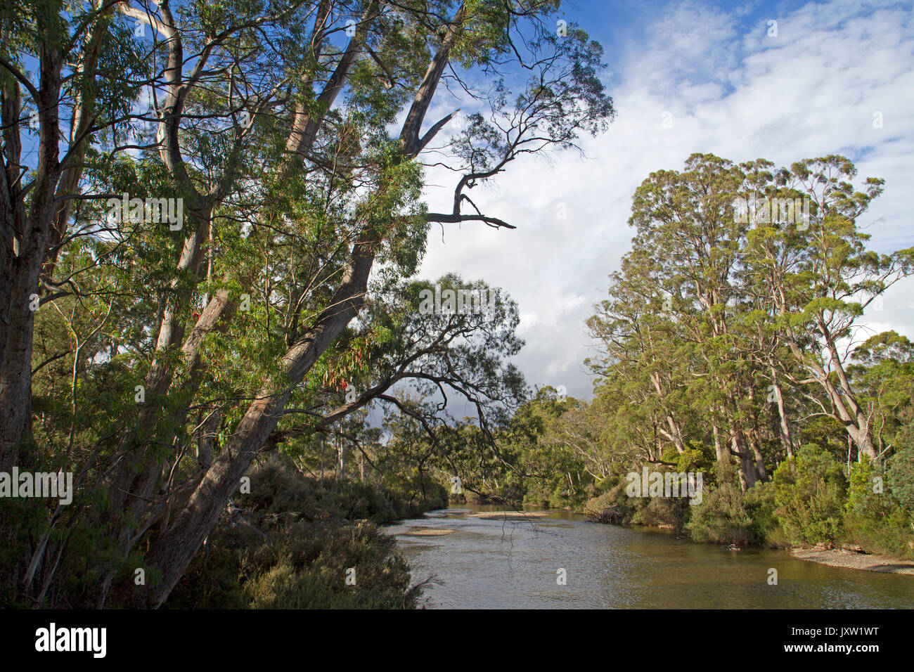 Il fiume Derwent vicino le sue sorgenti presso il lago St Clair Foto Stock