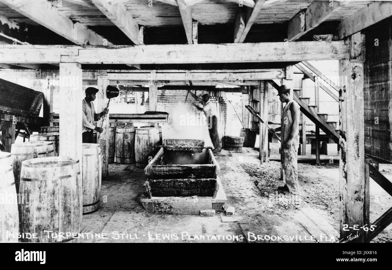 Quattro uomini afroamericani lavorano su una trementina ancora, distillando resina, sulla piantagione di Lewis a Brooksville, Florida, 1940. Foto Stock