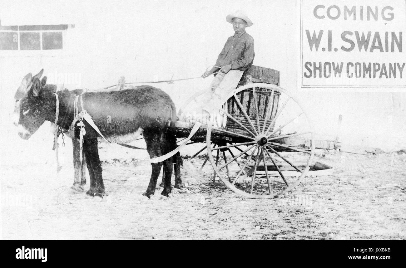 Ritratto a lunghezza intera di un maschio afroamericano maturo in piedi su buggy guidato da due muli su percorso sterrato, indossando camicia scura, pantaloni chiari e cappello, in piedi davanti al segno 'Coming WI Swain Show Company,' neutral Expression, 1915. Foto Stock