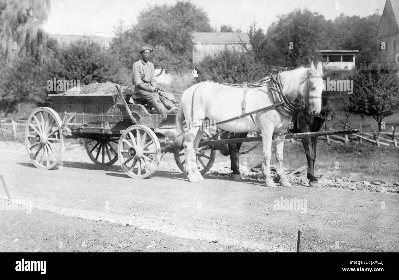 Ritratto a tutta lunghezza seduto di un uomo afroamericano maturo a cavallo e buggy, indossando un bottone di luce giù, pantaloni e cappello, trasportando materiali sul retro del carrello, trasportato da due cavalli, espressione neutra, 1915. Foto Stock