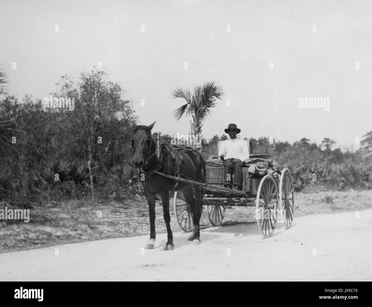 Ritratto a lunghezza intera di uomo afroamericano che cavalcava in un carro a cavallo, indossando camicia chiara, pantaloni scuri e cappello scuro, seduto fuori di fronte agli alberi, 1920. Foto Stock