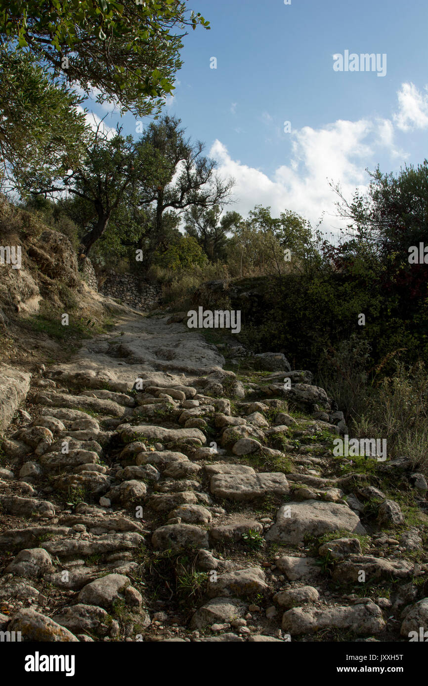 Un antica strada conduce dall'ingresso del luogo romano Eleutherna in creta centrale verso il basso per le cisterne di epoca romana. Eine alte Straße"führt vom E Foto Stock