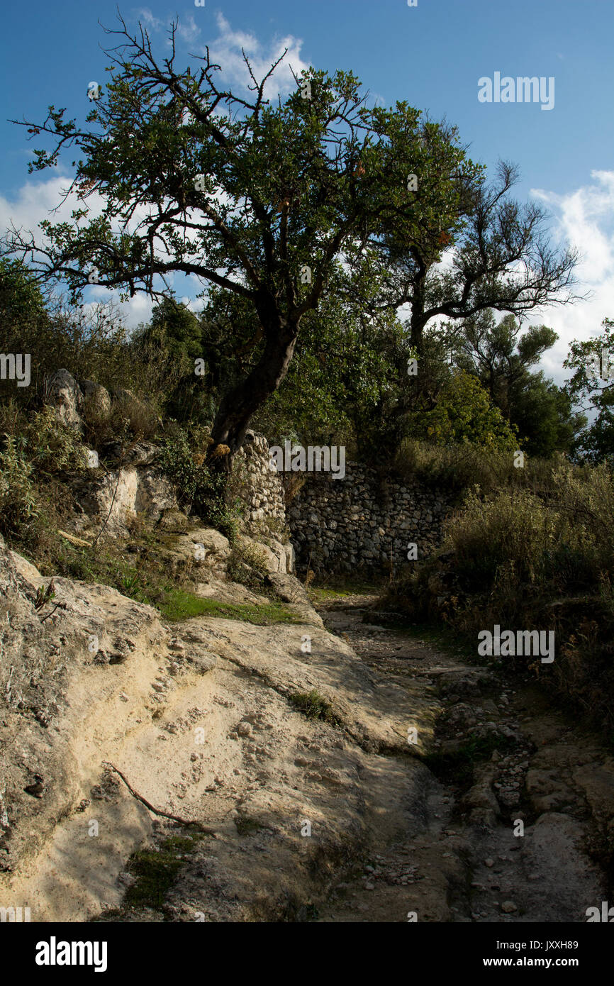 Un antica strada conduce dall'ingresso del luogo romano Eleutherna in creta centrale verso il basso per le cisterne di epoca romana. Eine alte Straße"führt vom E Foto Stock