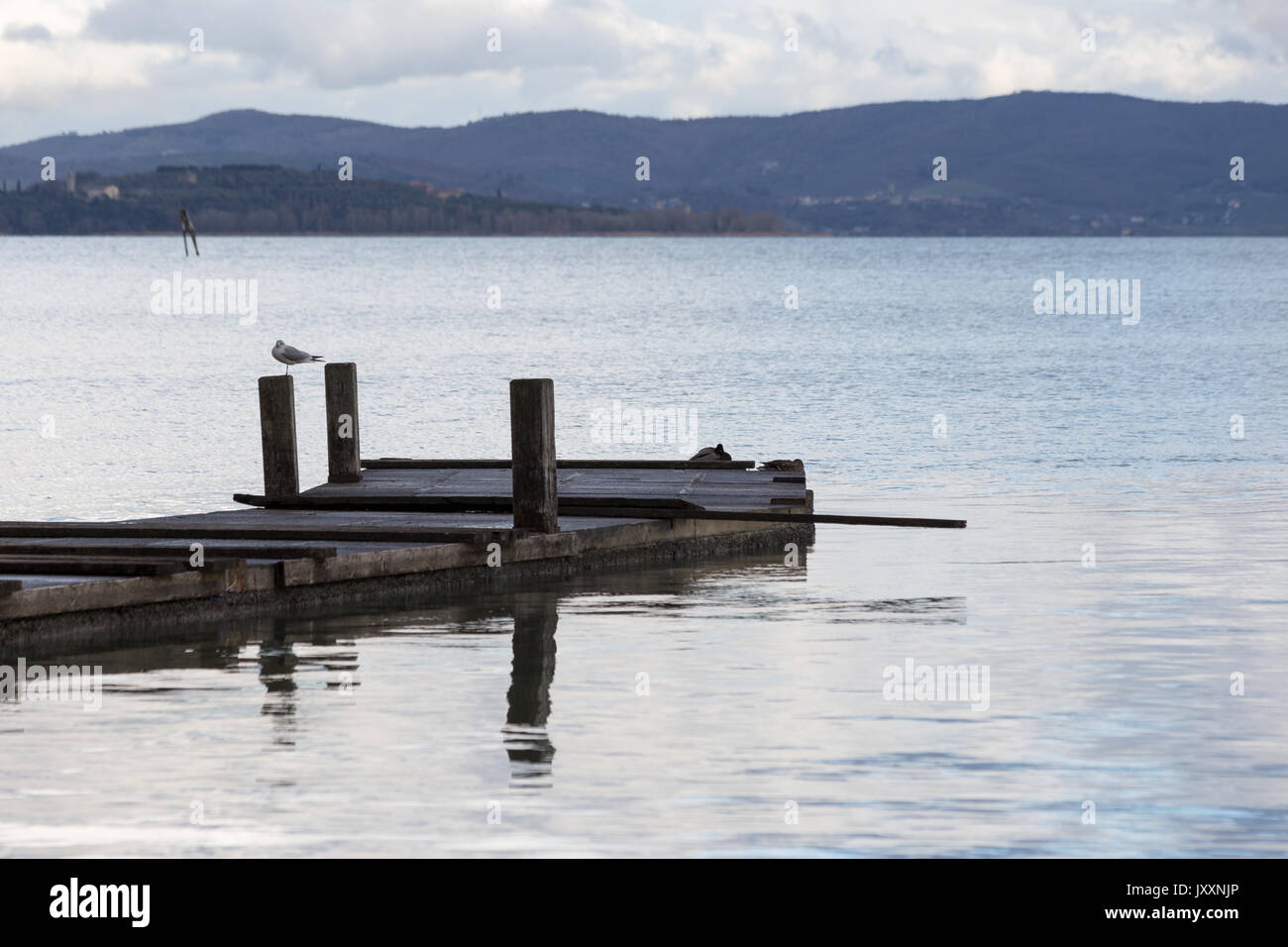 Un gabbiano su un palo postare un molo, con acqua bella riflessioni e lontane colline in background Foto Stock