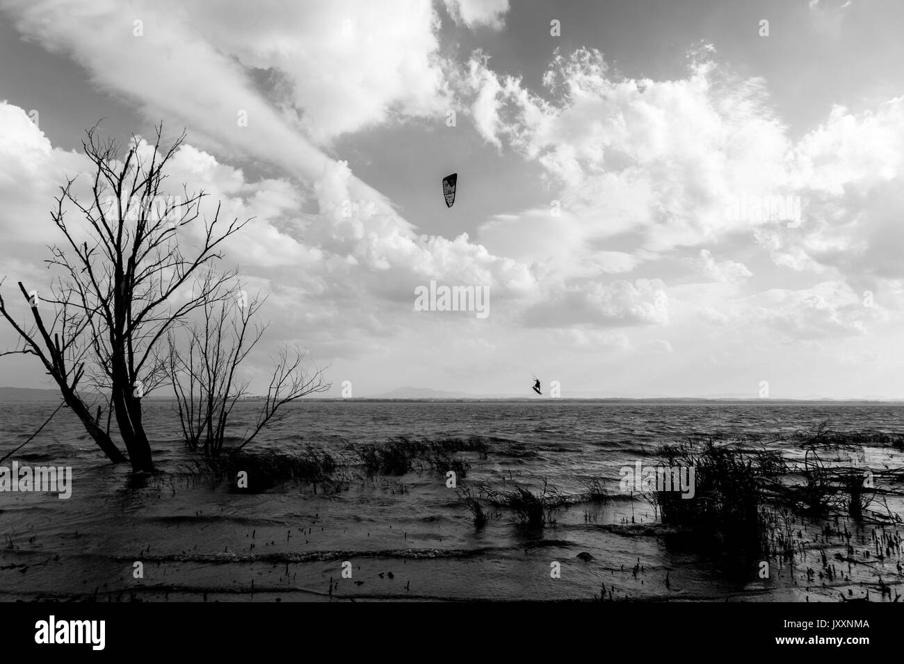 Un uomo a volare con un kite surf sulle sponde di un lago e con un cielo profondo sullo sfondo e gli alberi scheletrici in primo piano Foto Stock