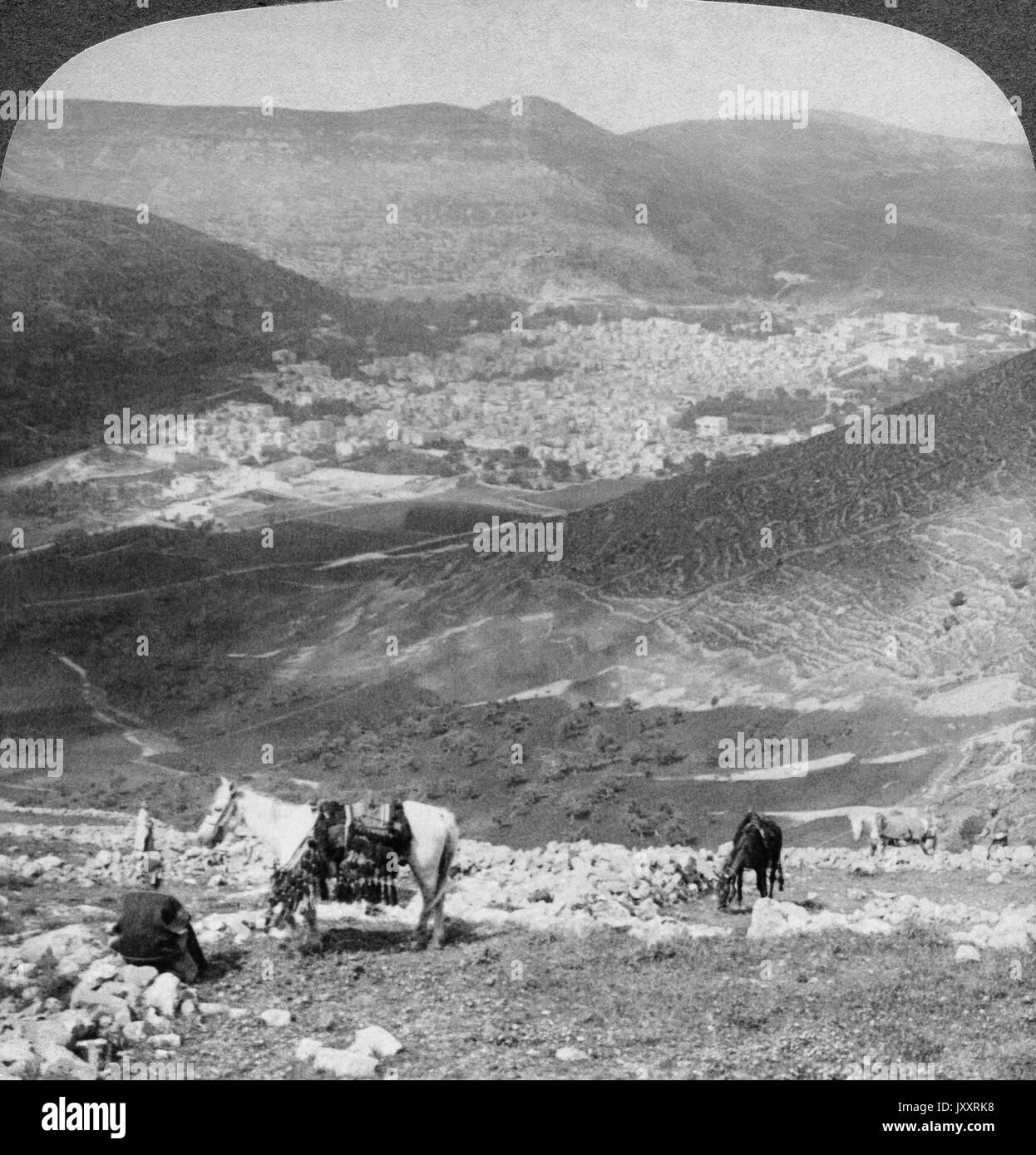 Sichem, ein Mittelpunkt früher hebräischer Geschichte vom Berg Ebal aus, südwestlich blickend, Palästina, 1904. Sichem, un inizio di centro della storia ebraica, guardando verso sud-ovest dal monte Ebal, Palestina 1904. Foto Stock