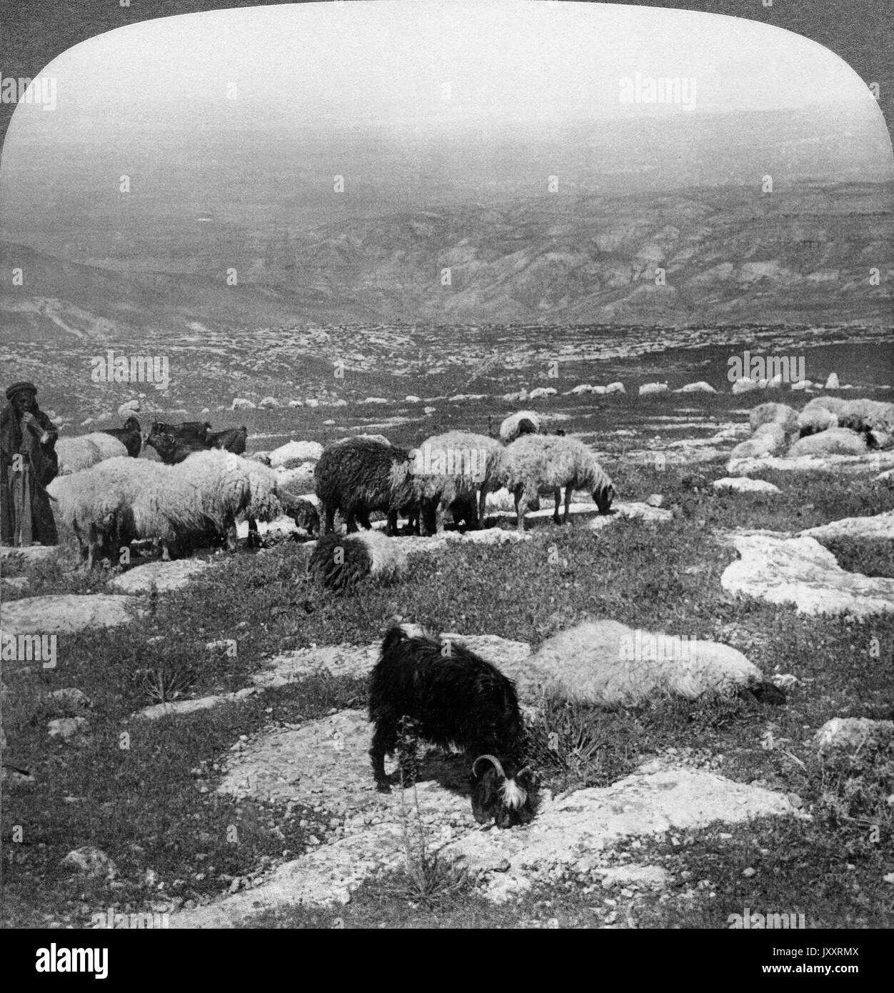 Vom Berg Nebo über den Giordania in das gelobte Land - nordwestlich bis zum Berg Ebal, Palästina 1904. Dal Monte Nebo attraverso il fiume Giordano per la terra promessa, a nord-ovest di monte Ebal, Palestina, 1904. Foto Stock