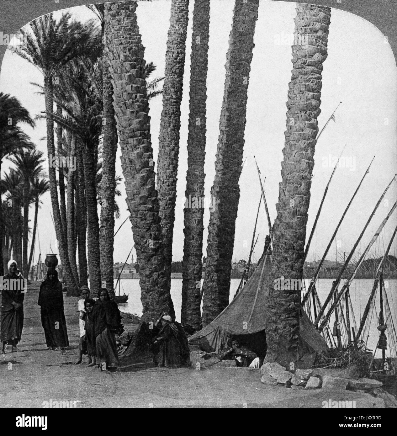 Die von Offenburg eingefaßten Ufer des Nils, Ägypten 1896. Il orlata di palme, sul Nilo in Egitto 1896. Foto Stock