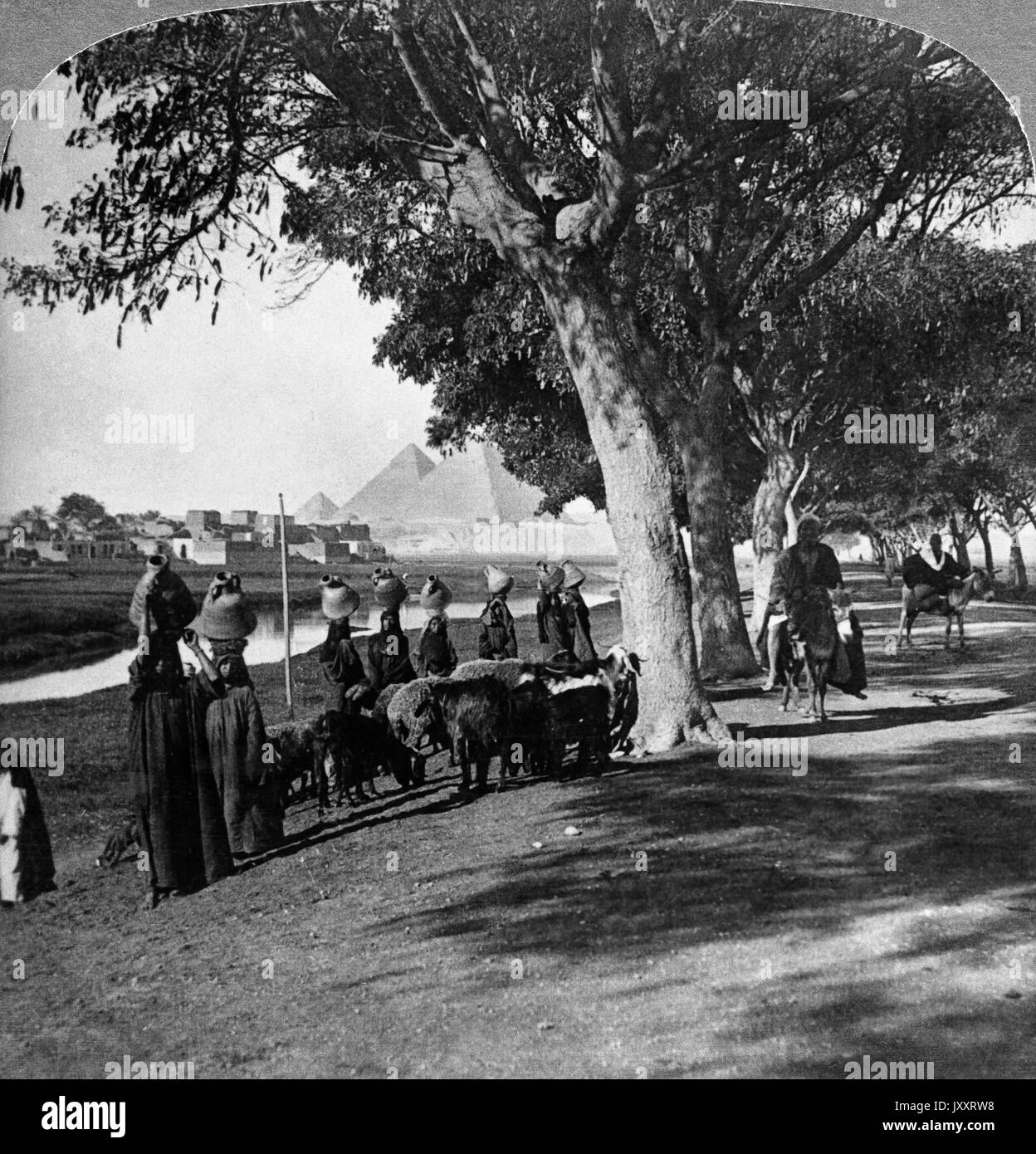 Die Straße von Kairo nach Gizeh zu den Pyramiden, Ägypten 1896. La strada per le piramidi, in direzione ovest verso Gizeh da vicino al Cairo, Egitto, 1896. Foto Stock