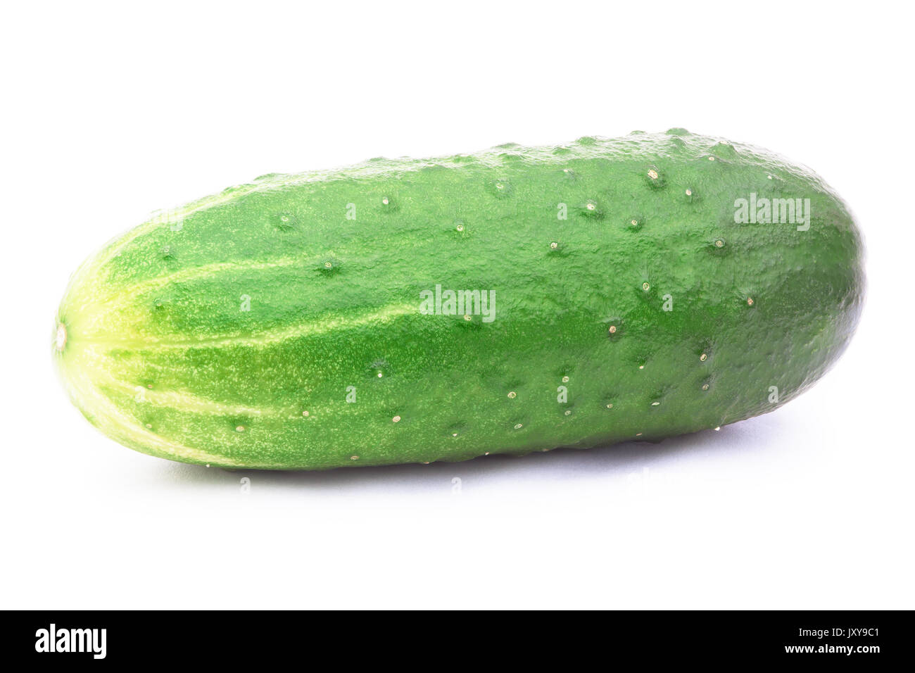 Il cetriolo isolati su sfondo bianco Foto Stock