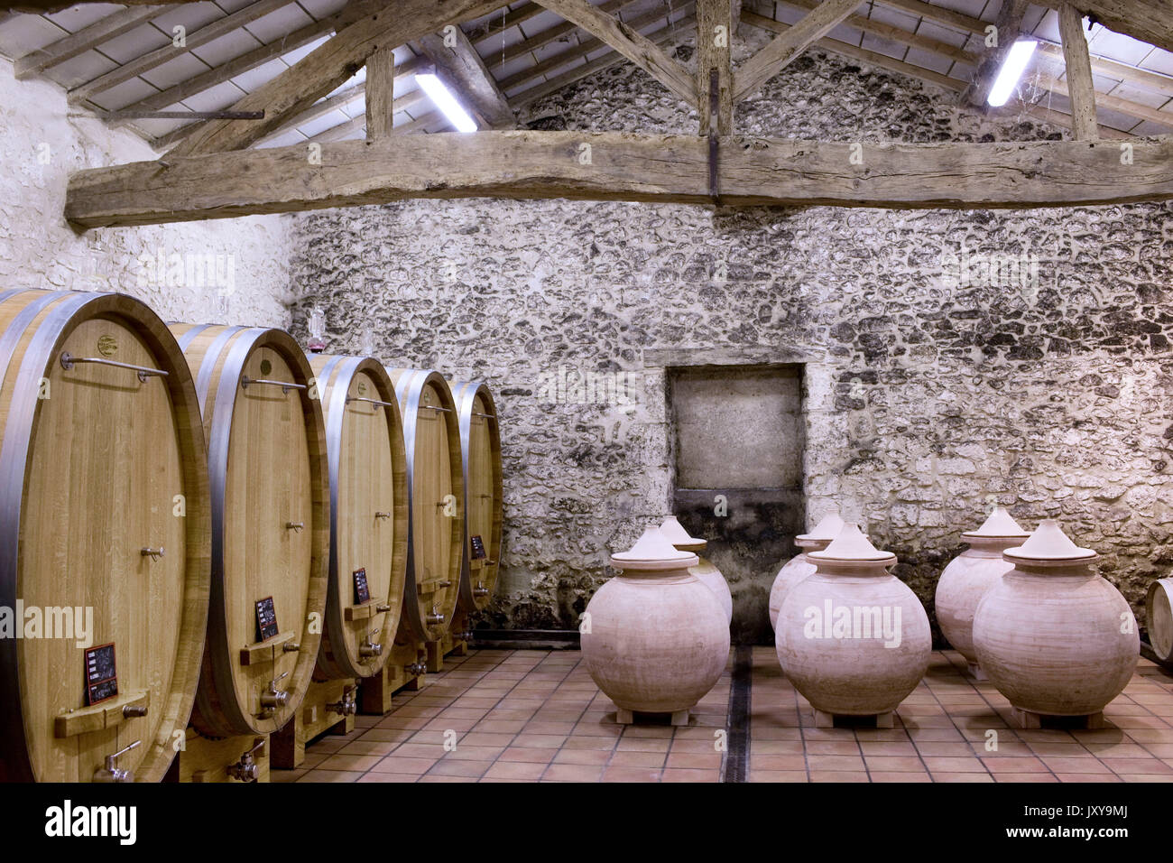 Cantina del viticoltore Luc de Conti, produttore di vino in Ribagnac, alla  viticoltura proprietà 'castello Tour des Gendres'. Botti di vino Foto stock  - Alamy
