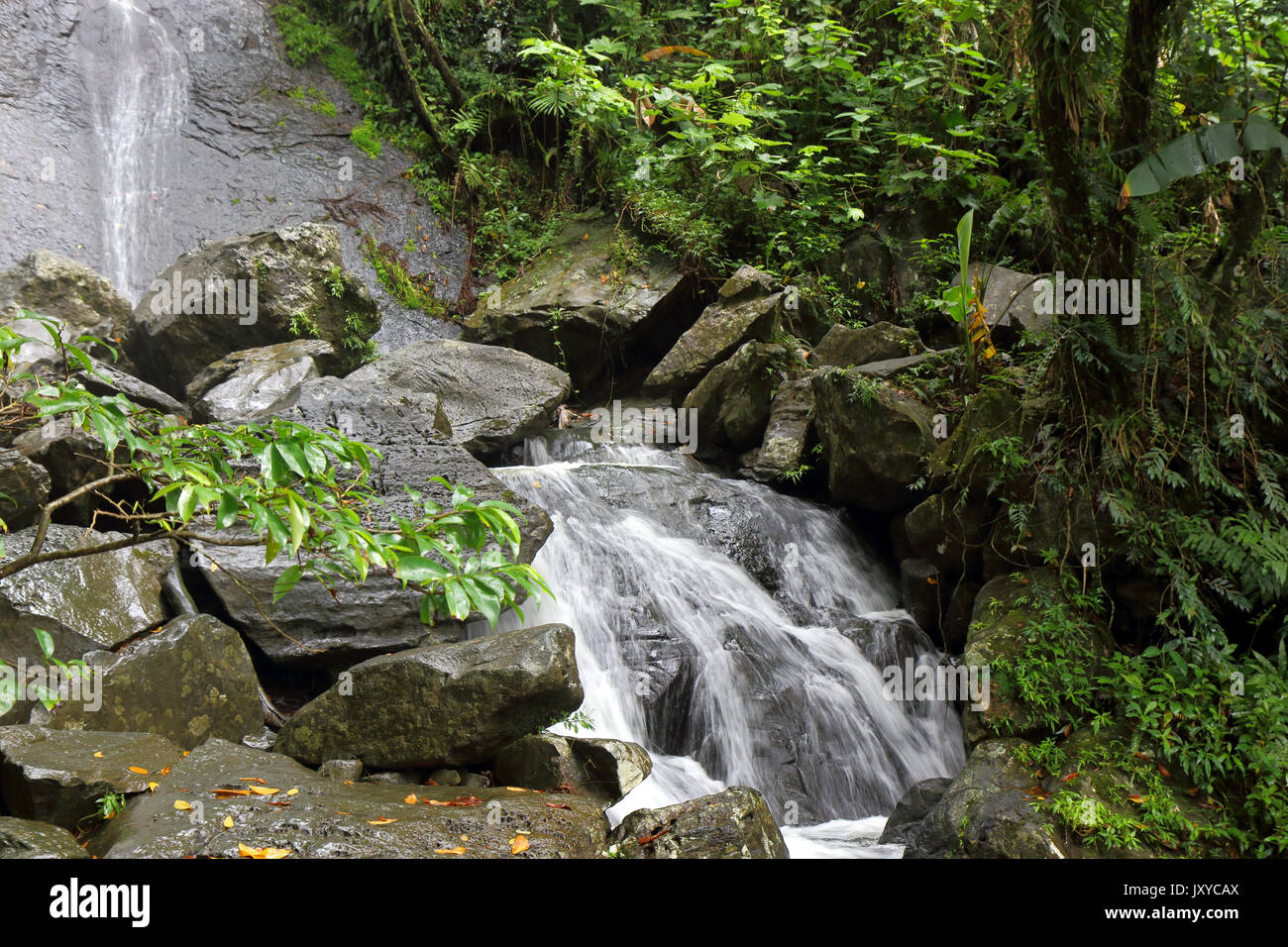 La splendida cascata a La Coca in Puerto Rican rainforest Foto Stock