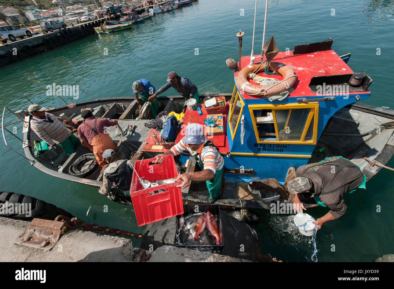 I pescatori off-caricando le loro catture in Kalk Bay Harbor, cape town, Sud Africa. Foto Stock