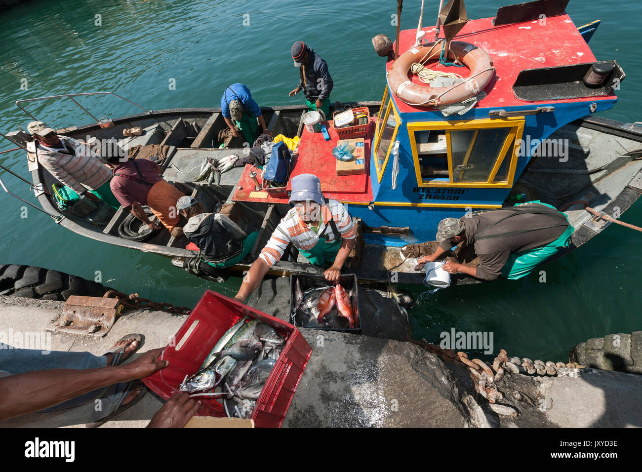 I pescatori off-caricando le loro catture in Kalk Bay Harbor, cape town, Sud Africa. Foto Stock