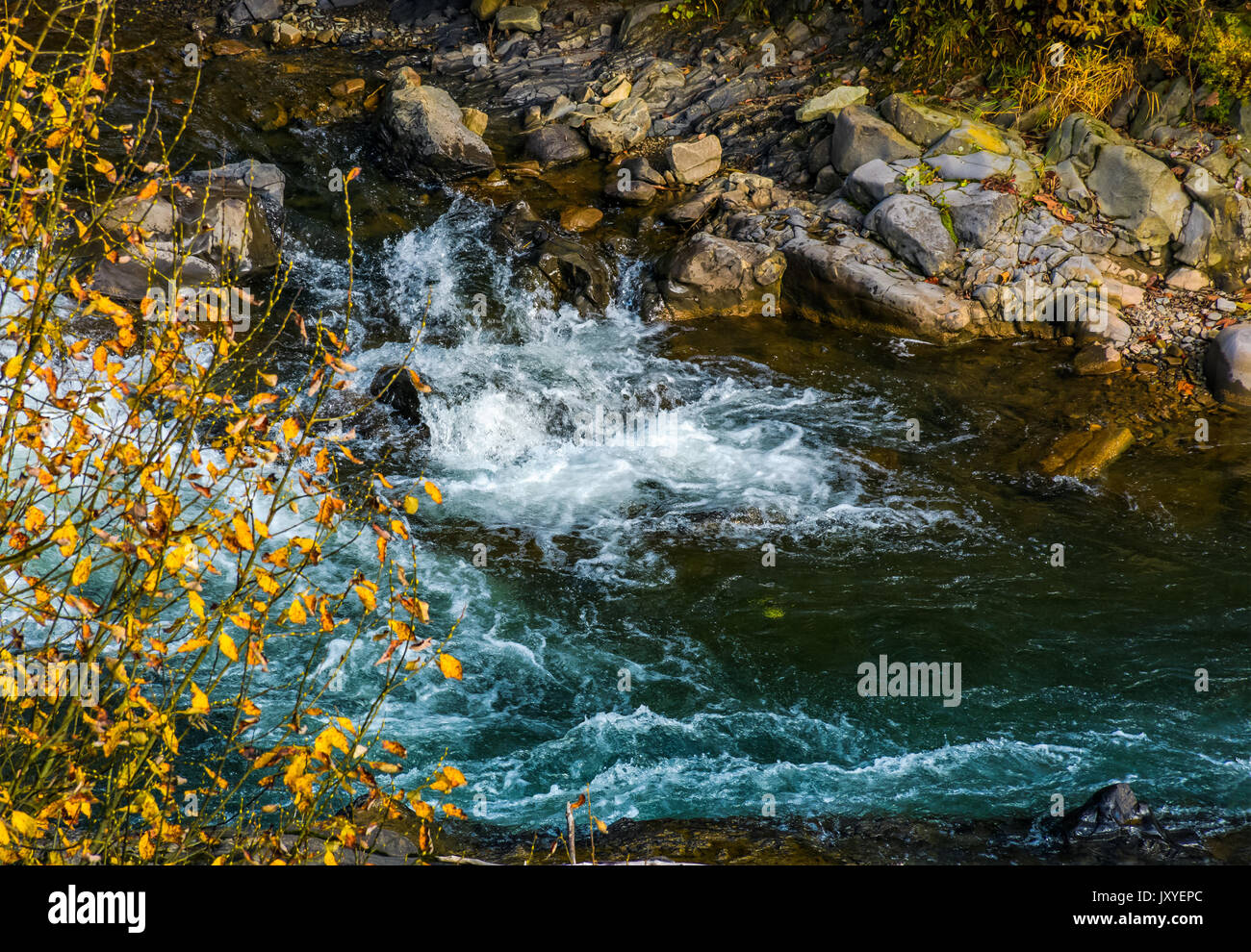 Potente Mountain Brook con spiaggia rocciosa. incantevole natura autunnale sfondo Foto Stock
