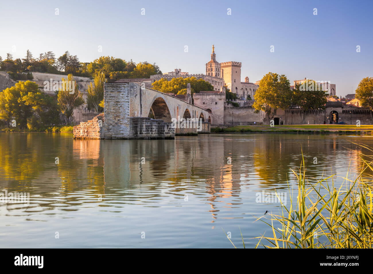 Ponte di Avignone con il palazzo dei papi in Provenza, Francia Foto Stock