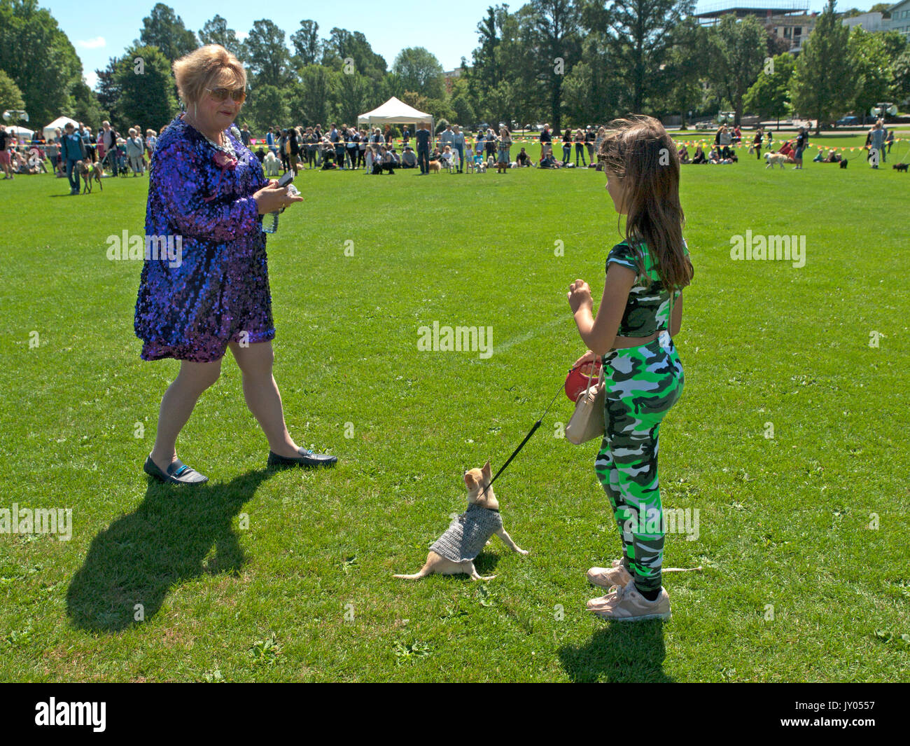 Un dog show in Preston Park, Brighton Foto Stock