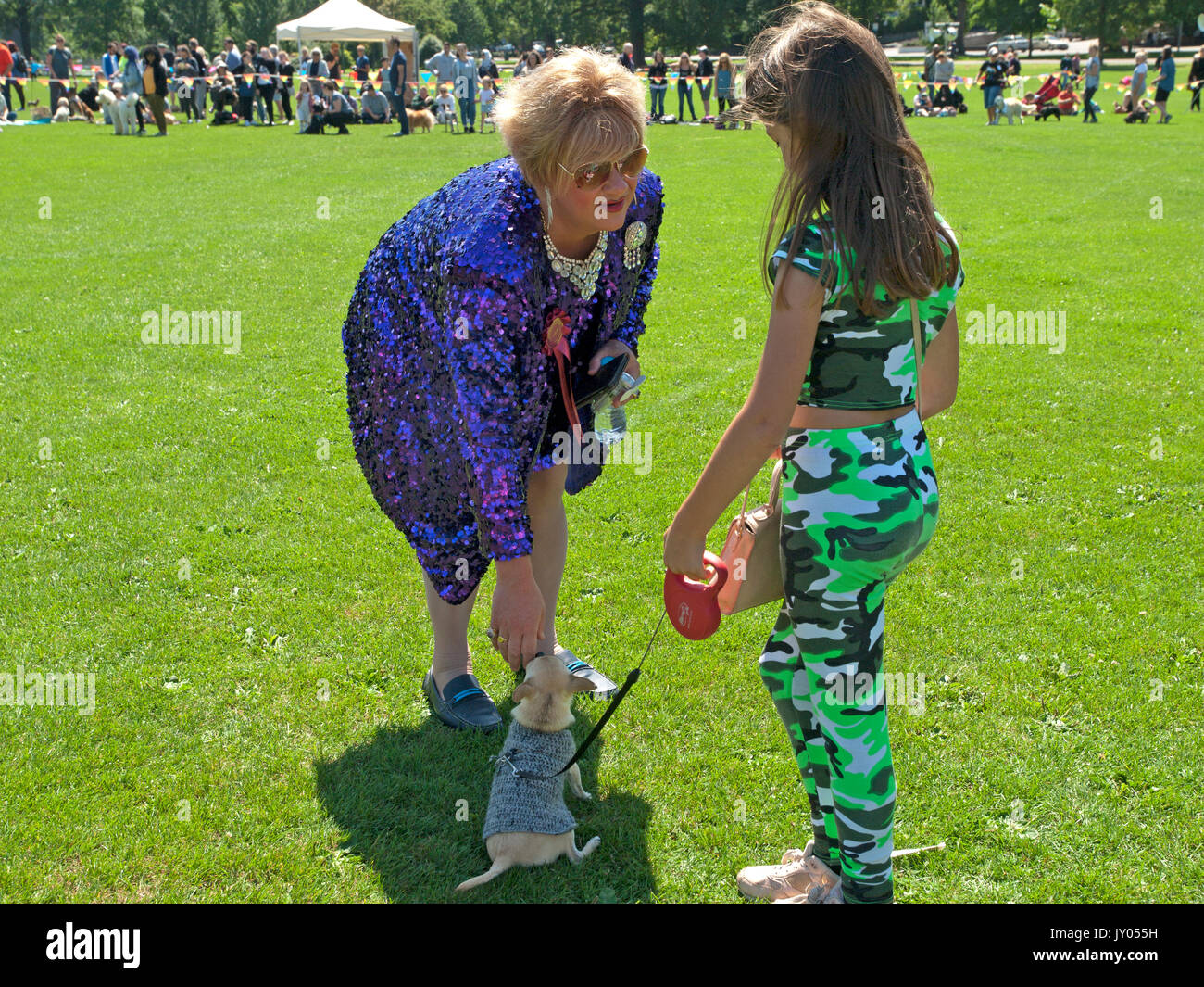 Un dog show in Preston Park, Brighton Foto Stock