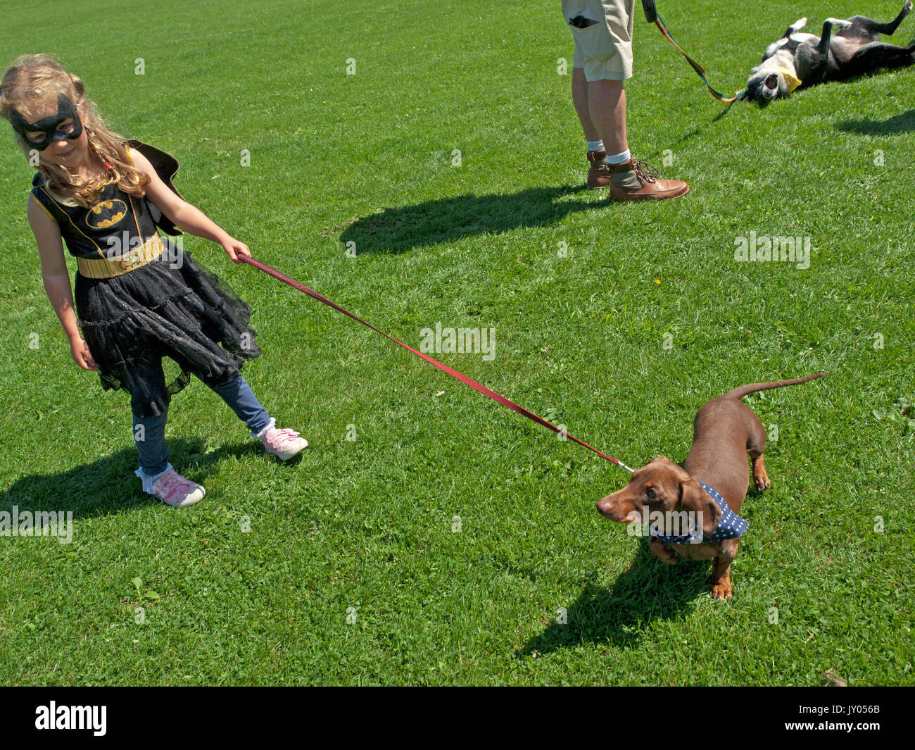 Un dog show in Preston Park, Brighton Foto Stock