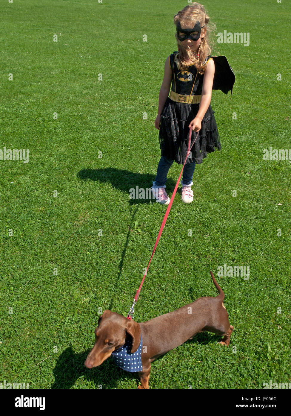 Un dog show in Preston Park, Brighton Foto Stock