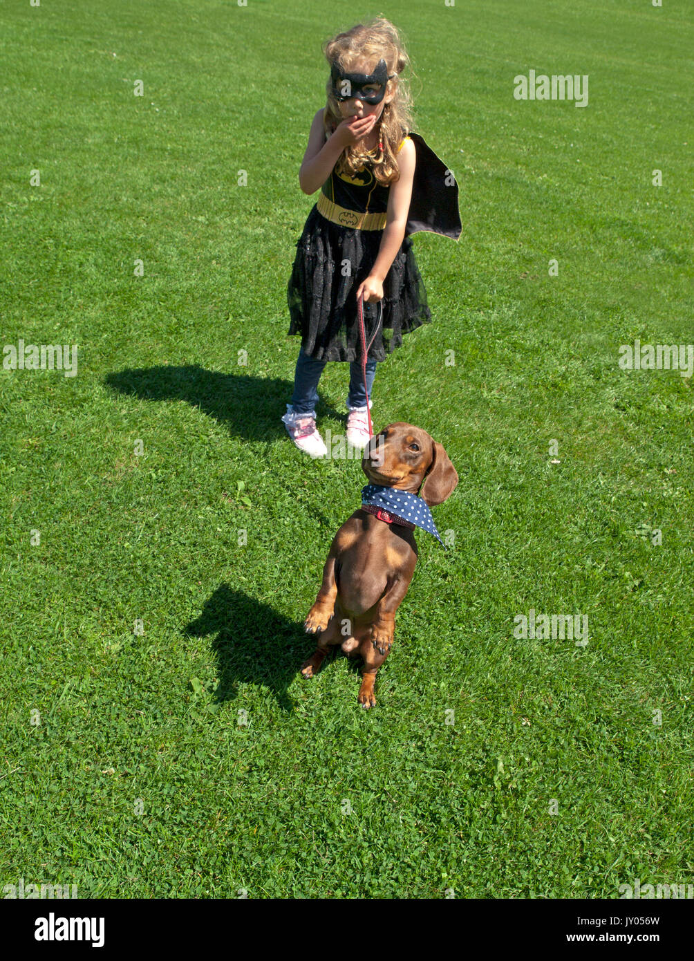 Un dog show in Preston Park, Brighton Foto Stock