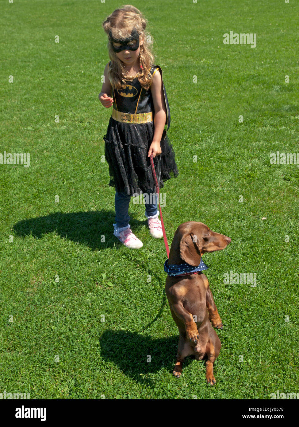 Un dog show in Preston Park, Brighton Foto Stock