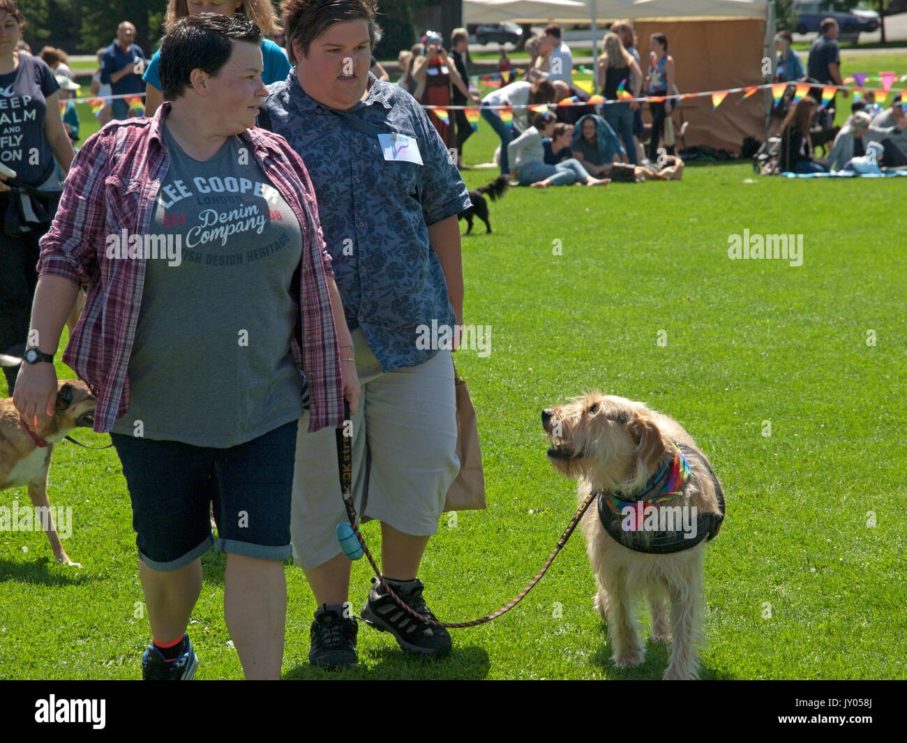 OwnersA dog show in Preston Park, Brighton Foto Stock