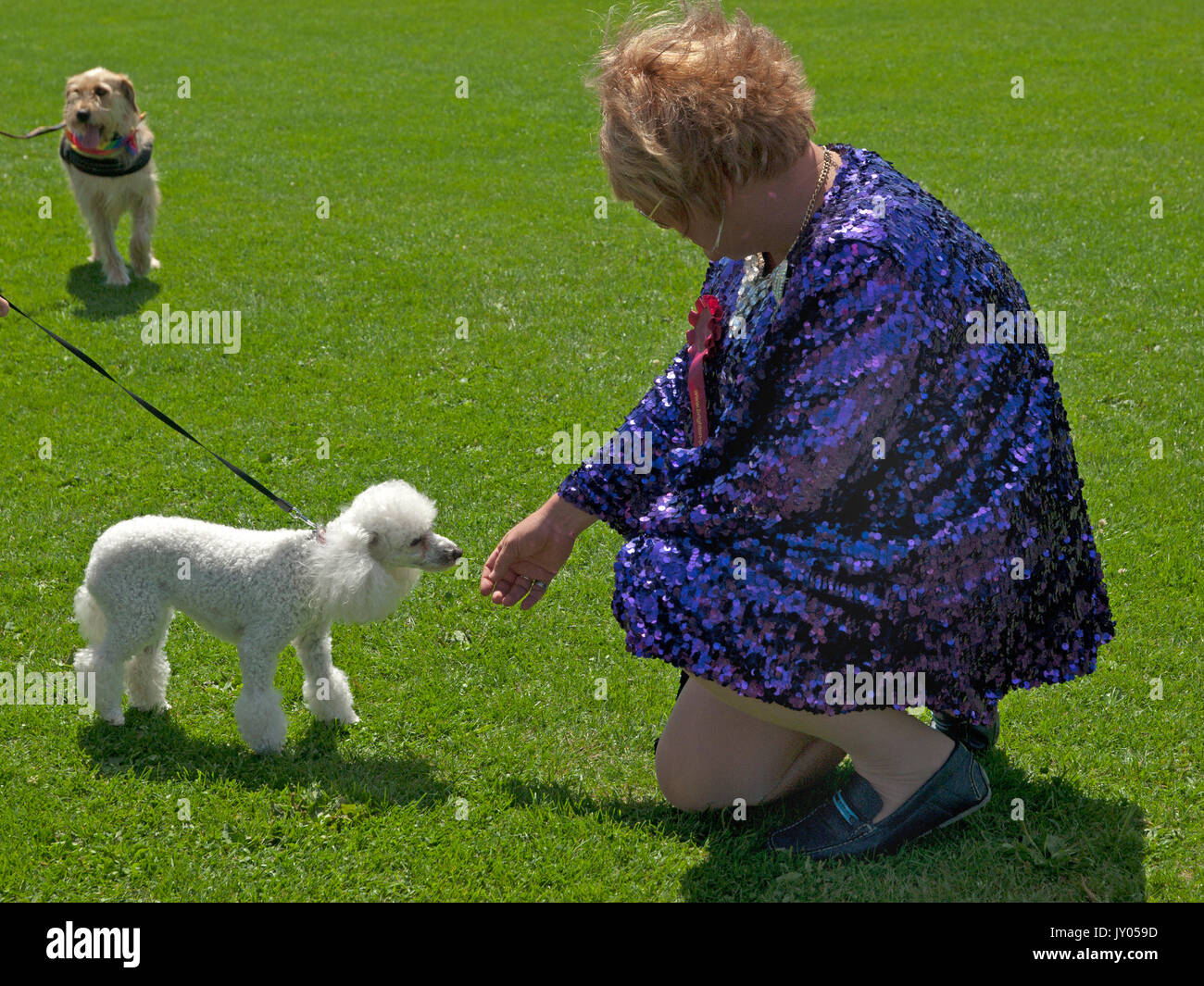 Un dog show in Preston Park, Brighton Foto Stock